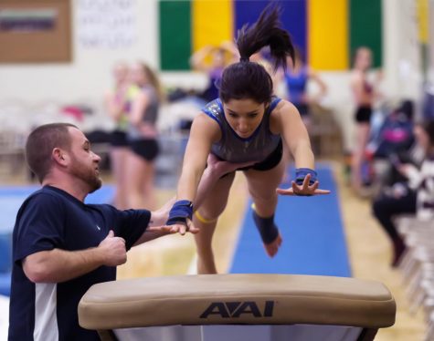 Gymnastics Team Reaching for New Heights