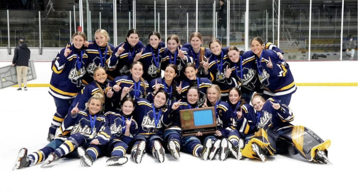 The Rosemount Girls Hockey Team Advances to State